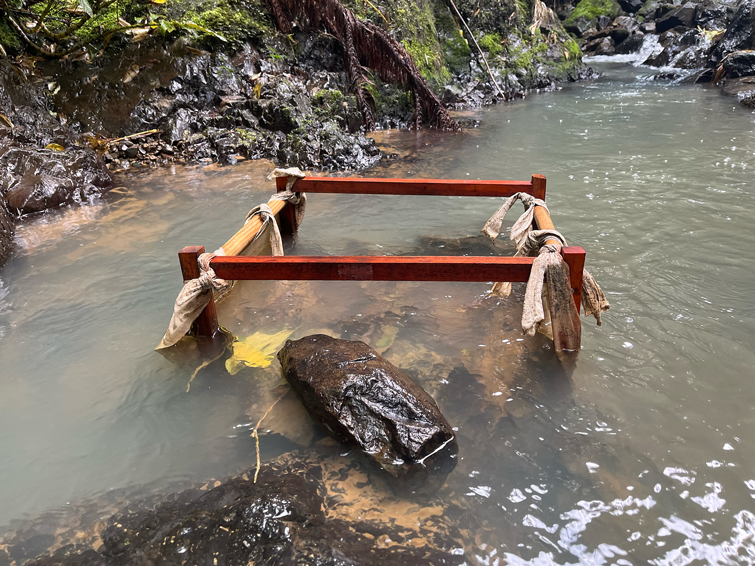 Macroinvertebrate Motels