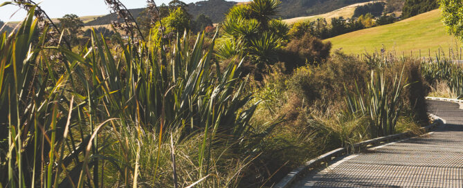 The Benefits of Long-Term Landscape Planning in New Zealand