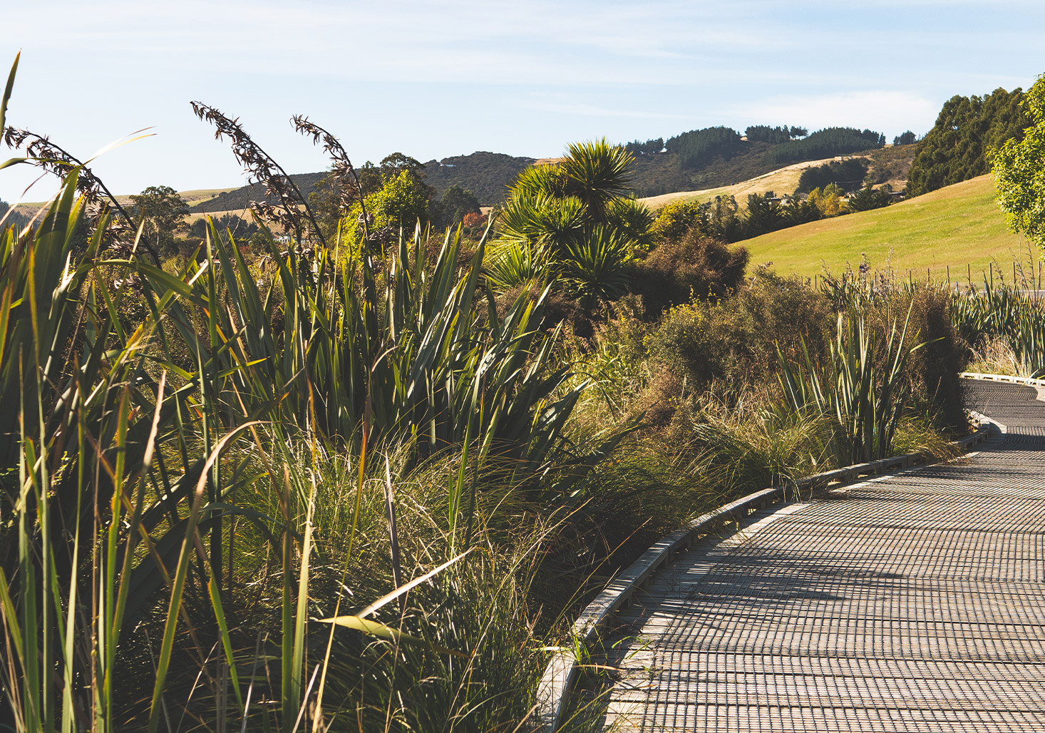The Benefits of Long-Term Landscape Planning in New Zealand
